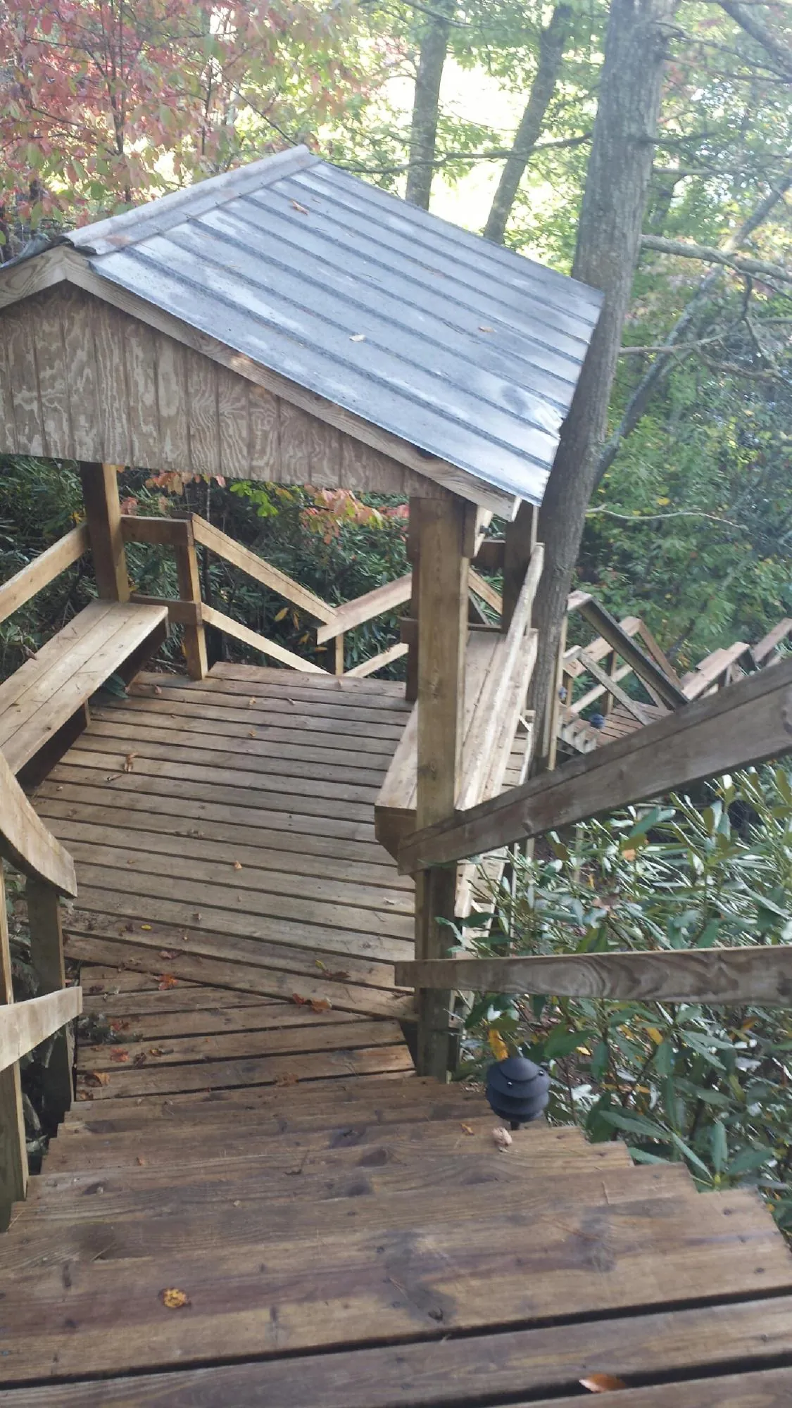 Metal roofed shelter over wooden steps on a wooded walkway — Skylight Repair & Installation work by our crew in Marysville